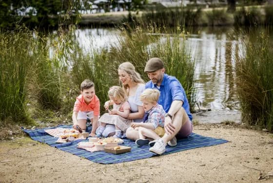 Summer Picnics