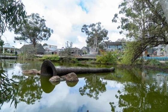 Traditional Aboriginal eel trap displayed in a pond at Sovereign Hill, surrounded by trees and historic goldfields buildings.